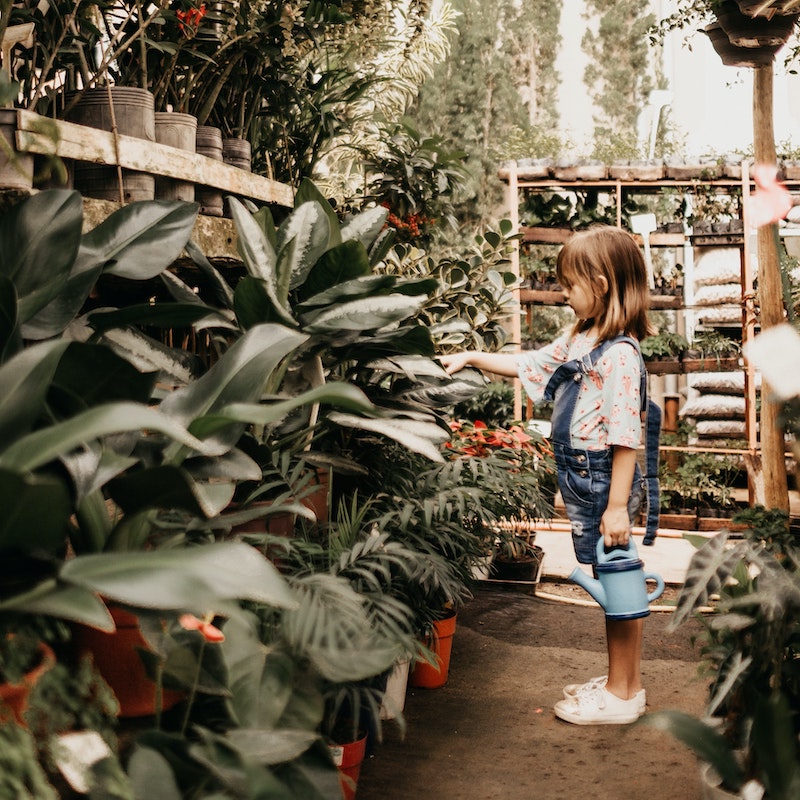 child in a greenhouse